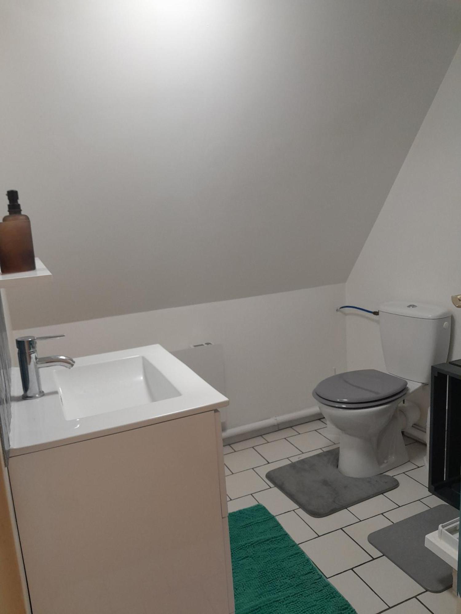 Duplex Charmant Au Coeur De Levroux المظهر الخارجي الصورة